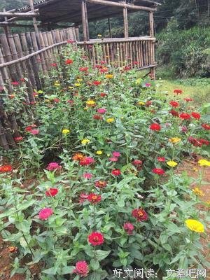 静默读后感锦集