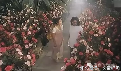 《一千零一夜之梦中人》观后感100字