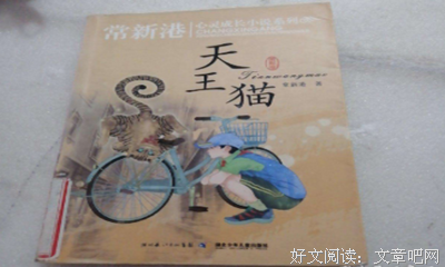 《她和他》读后感精选
