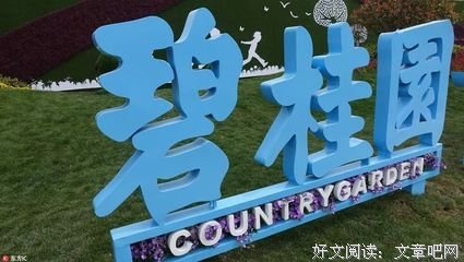 阿尔法的迷宫读后感锦集