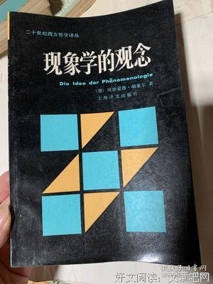 《现象学的观念》读后感摘抄