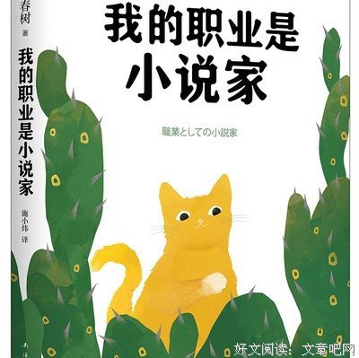 《小说家的第十四堂课》的读后感大全