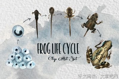《神秘的量子生命》读后感摘抄
