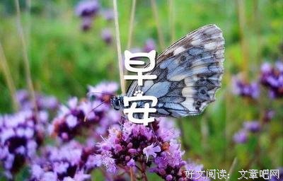 风尘相忘优美的句子
