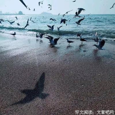 有关重楼的句子