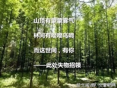 有关三行情书的句子