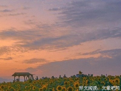怨秋风悲画扇经典的句子