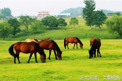 把夫再风说走他却庄吃轻时Duebasso3o喜欢的句子