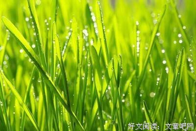 顾城名句欣赏