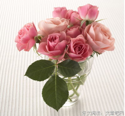 隔阂句子