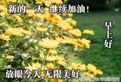 《灰尘里脆弱的梦想》的句子