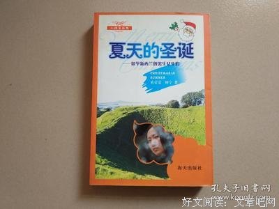 夏天的圣诞-留学新西兰的男生女生们读后感锦集
