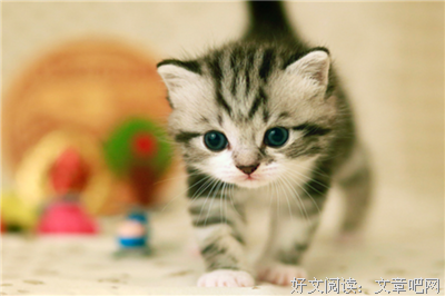 有关约翰·洛克名言