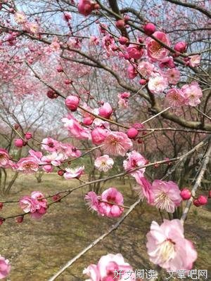 最经典的《木兰花慢》语录摘抄