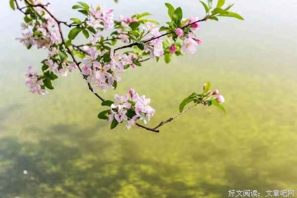 人品，是一个人最好的风水