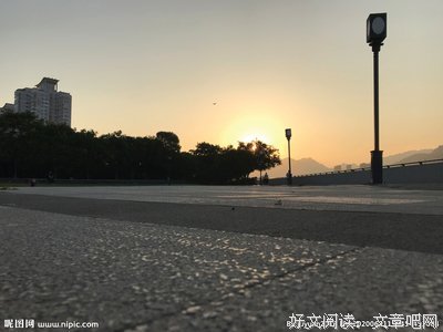 西阳之花经典读后感有感