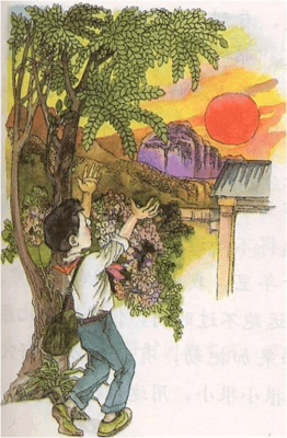 把你交给时间读后感锦集