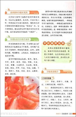 告别节食时代读后感100字