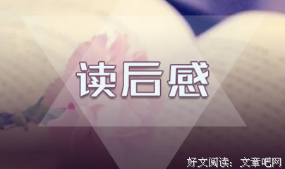 《时光里的不为人知》读后感锦集