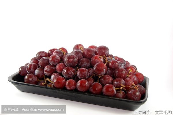《彼德与狼》经典影评1000字