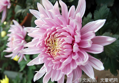 没有人容易优美的句子