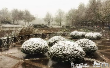 暖暖优美的句子