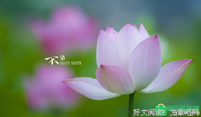 尘的优美句子