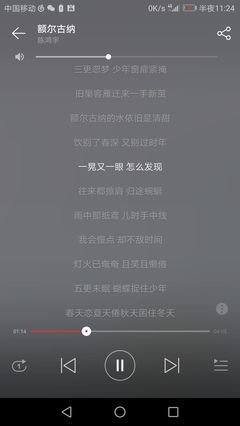 诗一样的歌