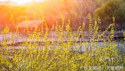 flicker glow优美的句子