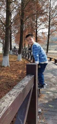 春风发自风为就觉把，不如你好词好句