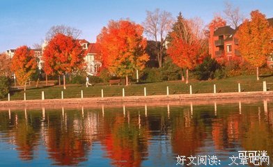小说优美的句子