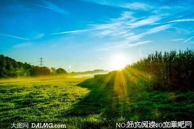 卑微句子