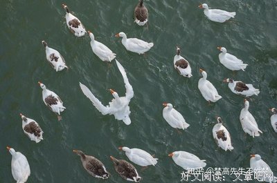 杂七杂八句子