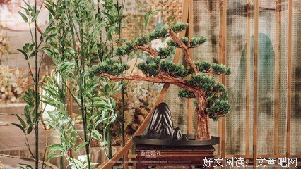 平生一顾，至此终年的句子