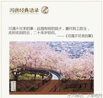 冯唐的优美句子