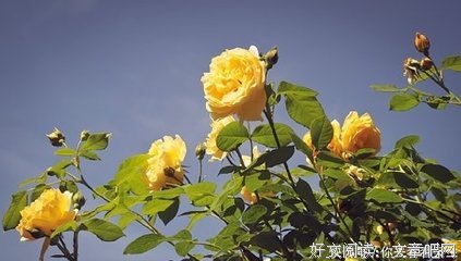 关于长长的路我们慢慢的说的句子