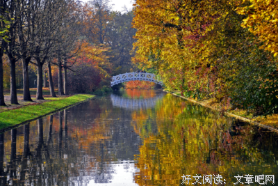 阳光与海与你的优美句子