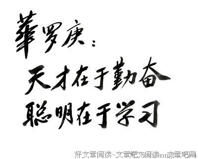 冈本加乃子的名言