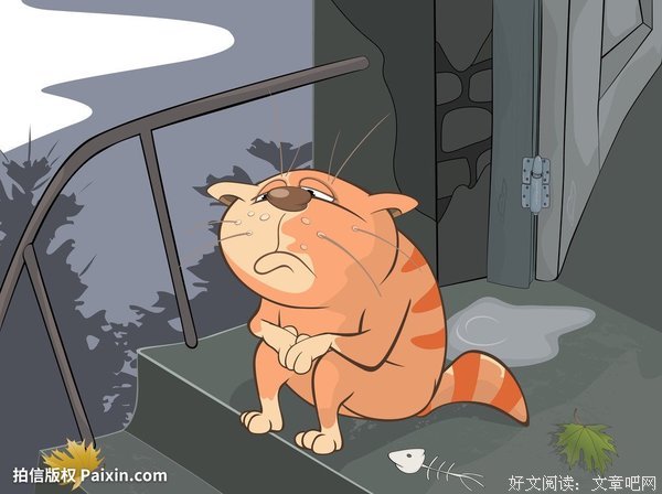 《我想要凯蒂》影评精选