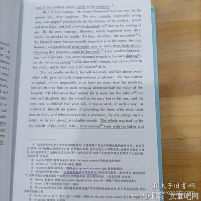《理智与情感》影评精选