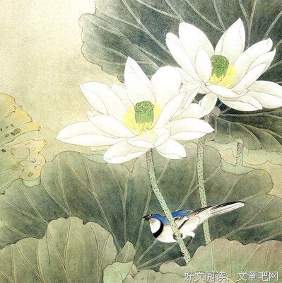 触及心灵经典名句