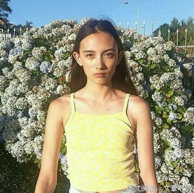 杂句的句子