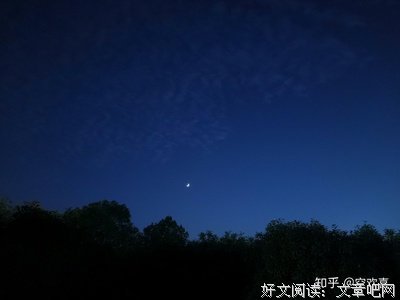 关于文艺的句子