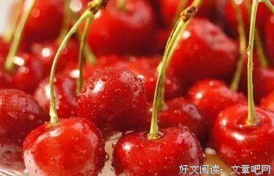 小白兔的花优美的句子