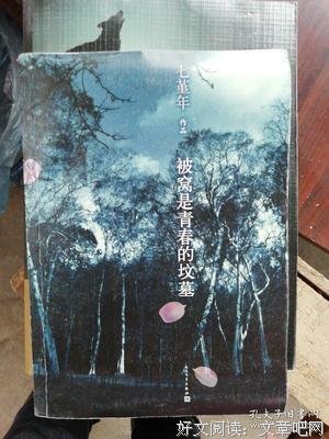 《被窝是青春的坟墓》的句子