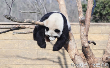 珍惜好词好句