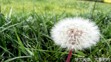 古经典的句子