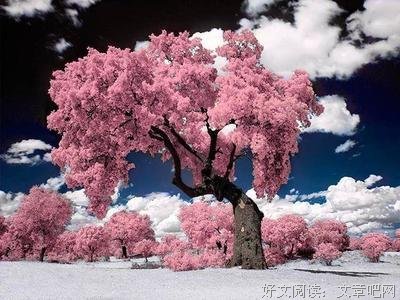 在这里遇见谁？的句子