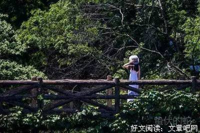 白落梅的优美句子