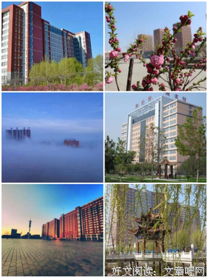 最新的明月系朝曦的名言